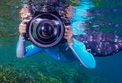 underwater photography for beginners