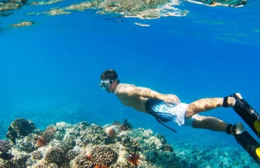 planning a snorkeling trip