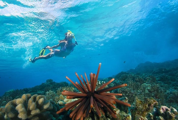 solo snorkeling travel