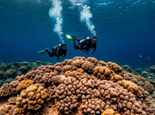 romantic snorkeling trips