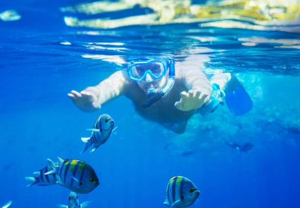 solo snorkeling travel