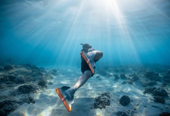 drift snorkeling drift snorkeling