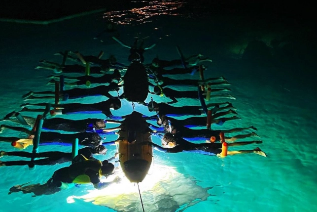 Night Snorkeling Experience