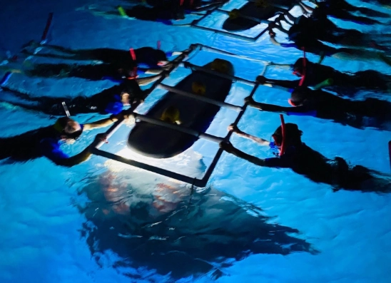 night snorkeling for beginners