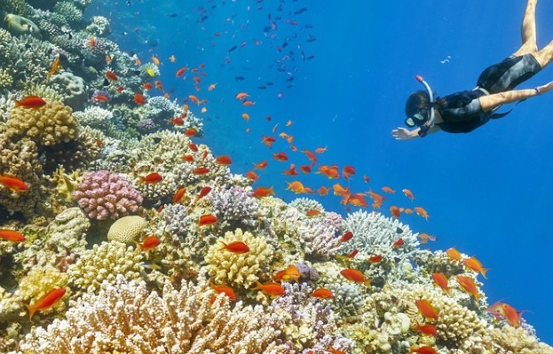 Great Blue Hole snorkeling