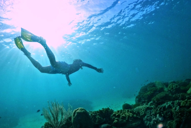 best drift snorkeling spots best drift snorkeling spots