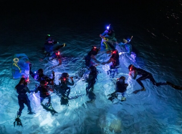 best night snorkeling spots