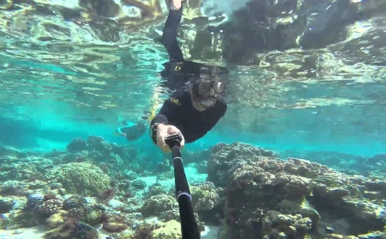 drift snorkeling safety drift snorkeling safety