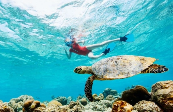 when to snorkel Palawan