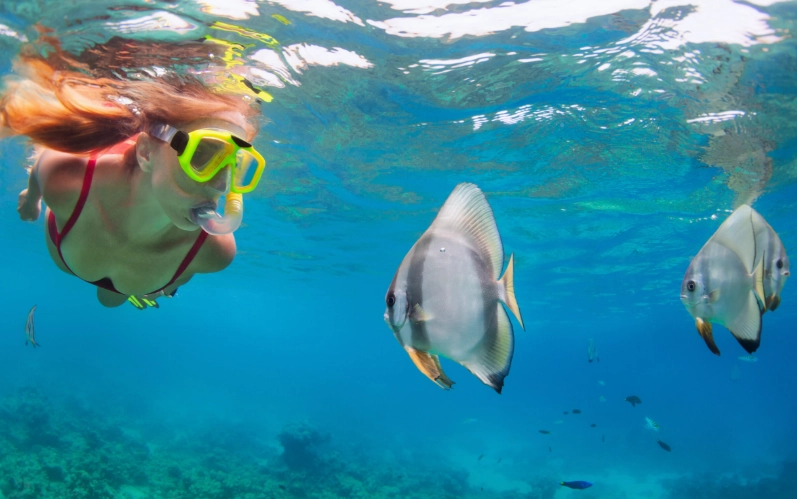 best snorkeling spots Oahu