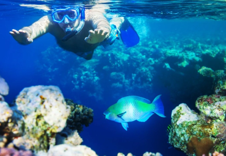 best snorkeling in kauai