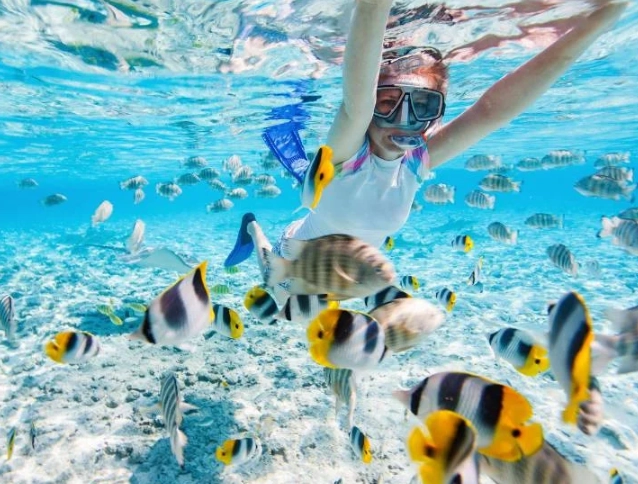 best snorkeling spots Komodo