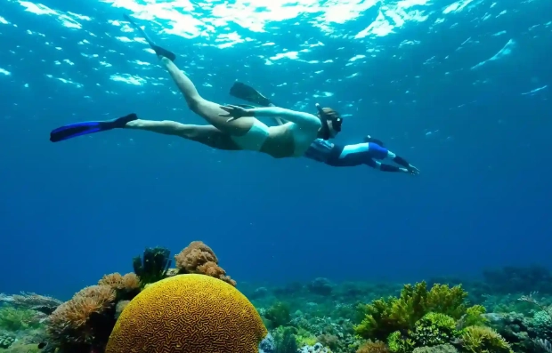 best snorkeling spots raja ampat best snorkeling spots raja ampat