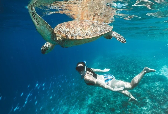 Gili Trawangan turtle point Gili Trawangan turtle point