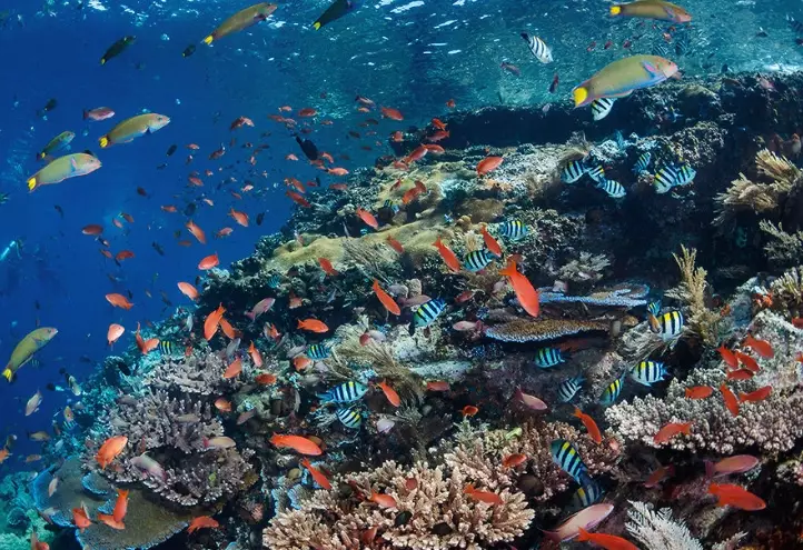 best snorkeling spots Komodo