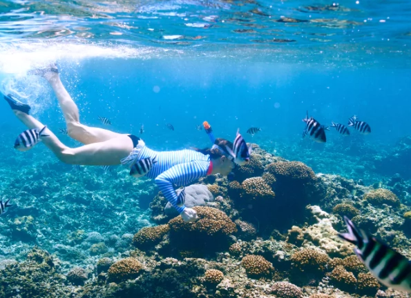 Komodo Island snorkeling