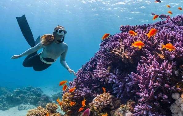 best snorkeling spots Gili Islands best snorkeling spots Gili Islands