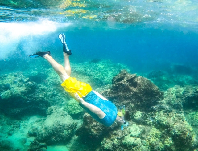 snorkeling Oahu