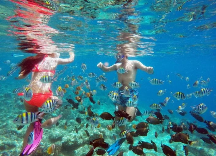 best snorkeling spots Gili Islands best snorkeling spots Gili Islands