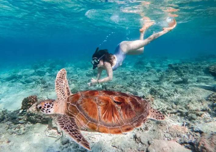 Gili Trawangan turtle point Gili Trawangan turtle point