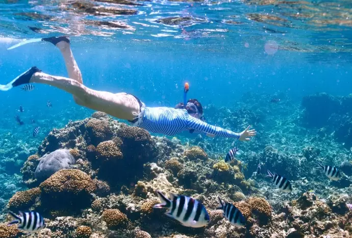 Snorkeling in Cayman Islands