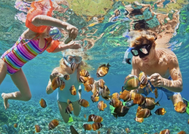 best snorkeling Roatan