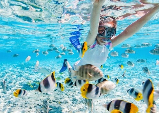 best snorkeling spots Bahamas