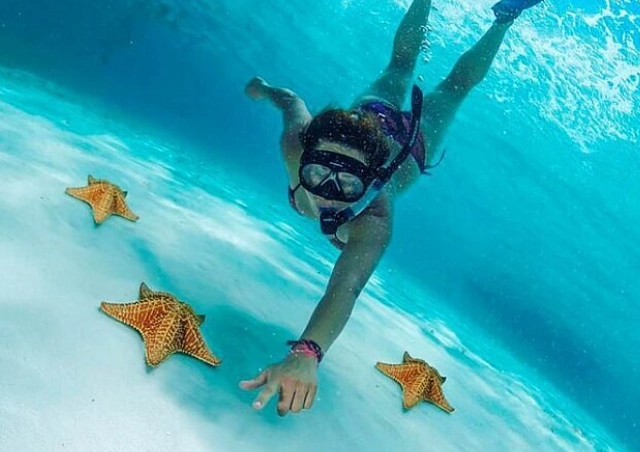 Cozumel snorkeling tours