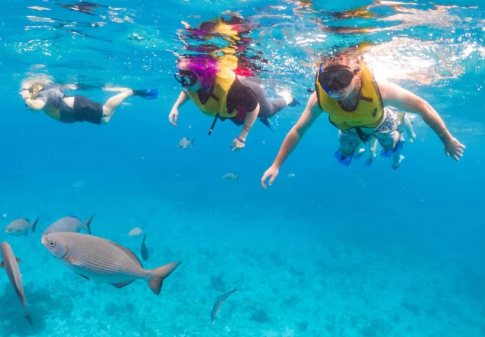 best snorkeling spots Cozumel