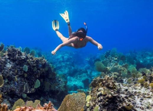 Grace Bay snorkeling