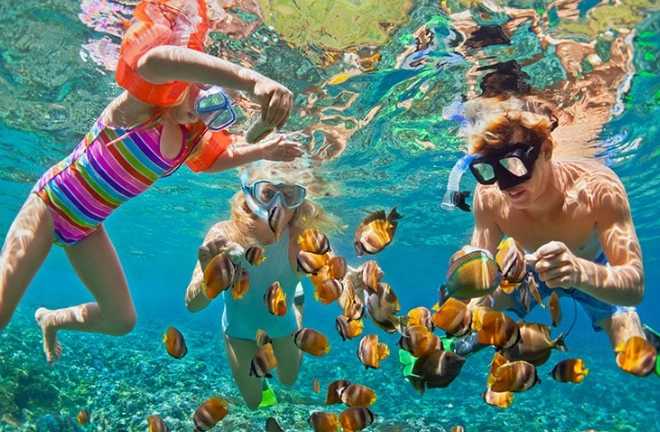 Snorkeling in Turks and Caicos