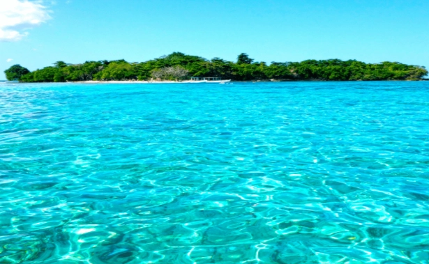 Montego Bay snorkeling