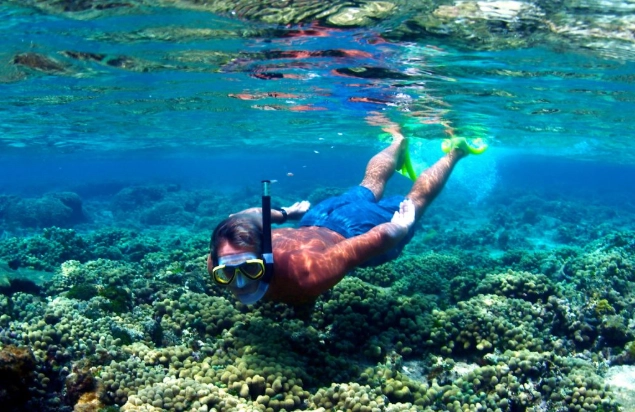 family snorkeling Cayman