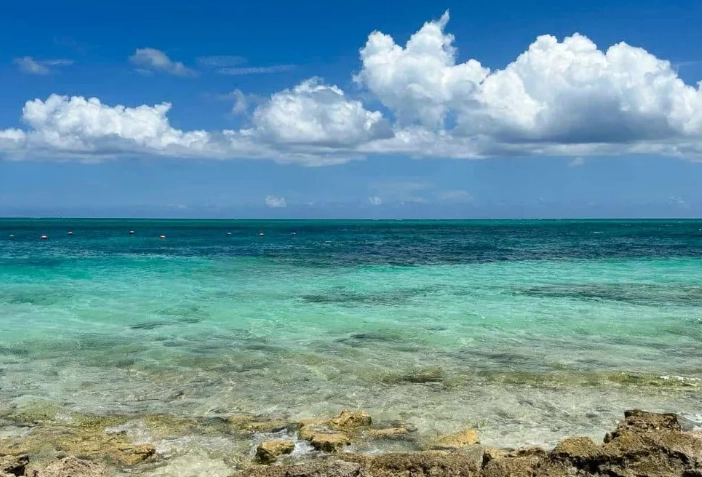 Grace Bay snorkeling