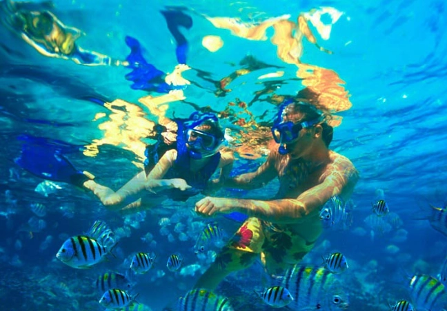 Bahamas snorkeling tours