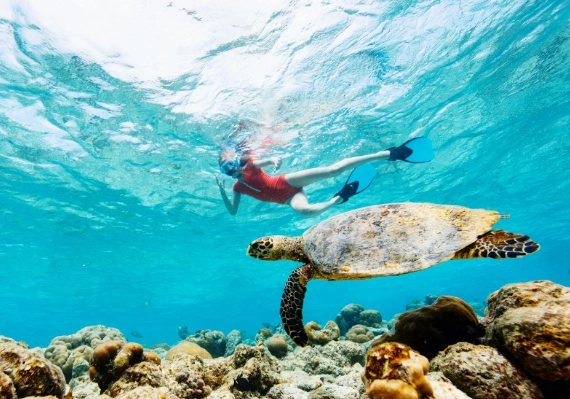 Snorkeling in Bahamas