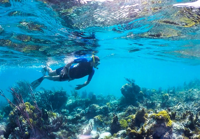 Smith's Reef Turks and Caicos