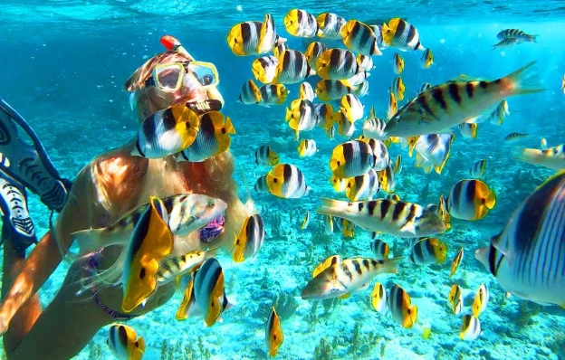 Snorkeling in Bora Bora