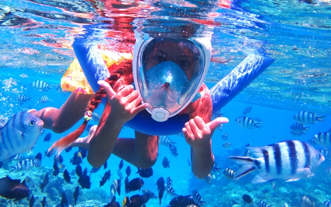 Bora Bora marine life