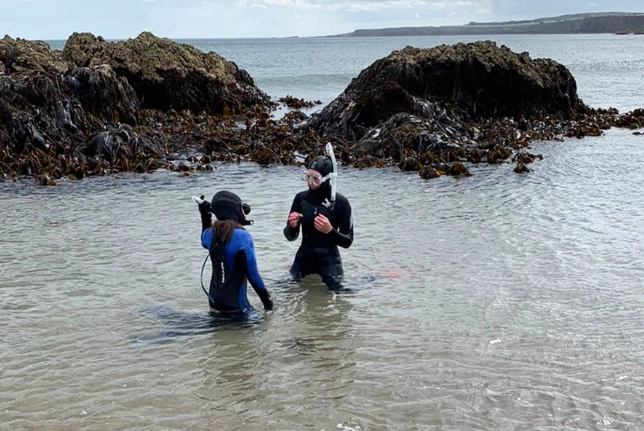 responsible snorkeling