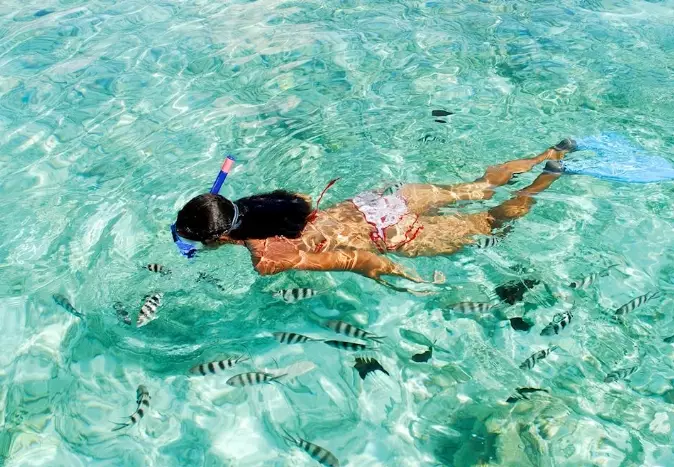 snorkeling tours Seychelles