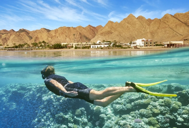 red sea snorkeling trips
