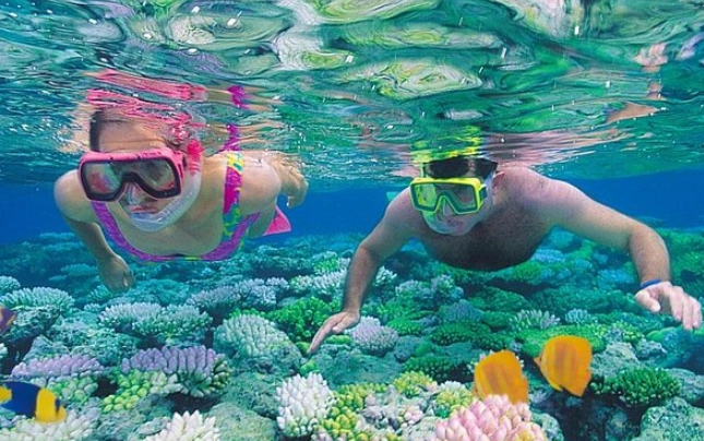 red sea snorkeling trips