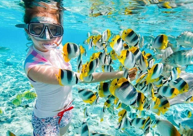 egypt snorkeling guide