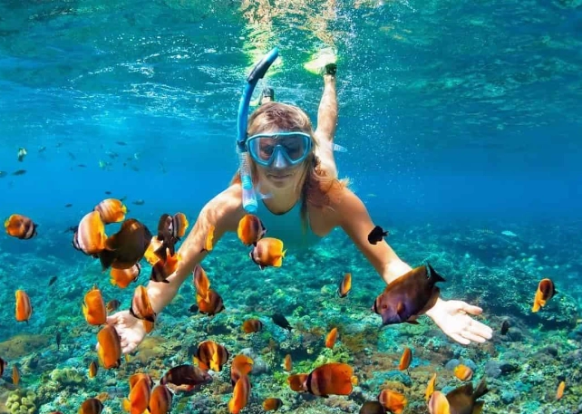 best snorkeling spots Florida Keys