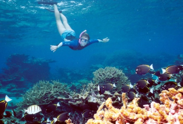 egypt snorkeling guide