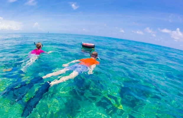 Snorkeling in Florida Keys