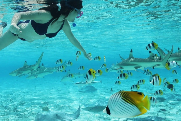 best snorkeling in Bora Bora