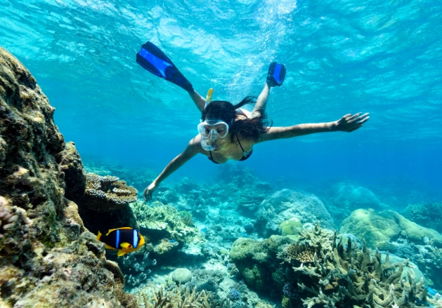 Snorkeling in Fiji