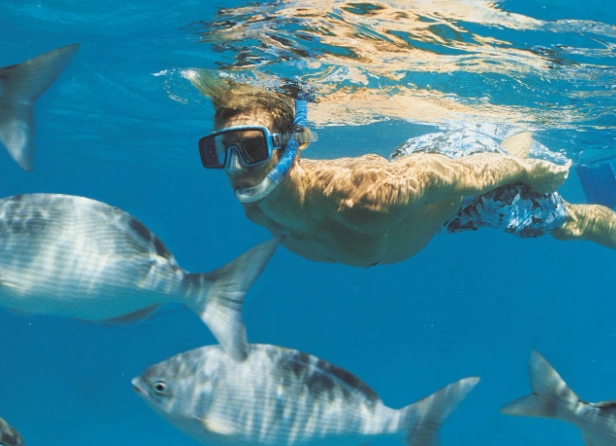 how to snorkel in clear water